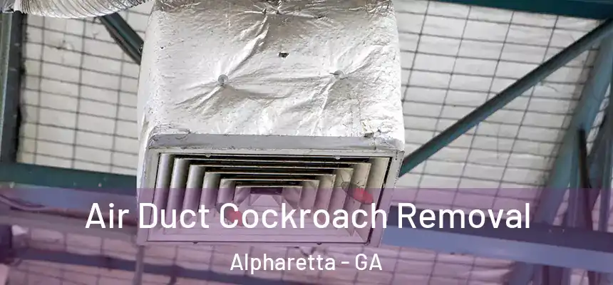  Air Duct Cockroach Removal Alpharetta - GA