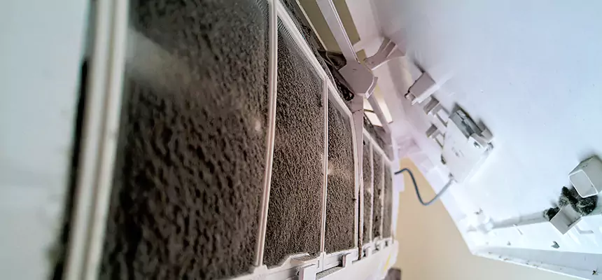 Preventive Air Duct Bacteria Removal in Alpharetta