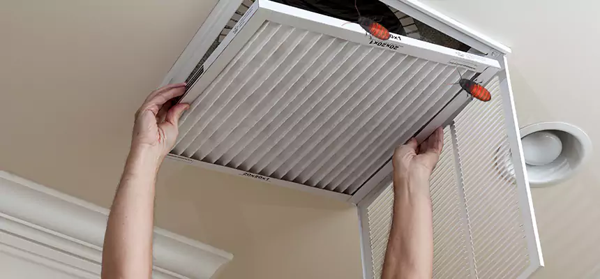 Preventive Cockroach-Proofing for Ducts in Alpharetta