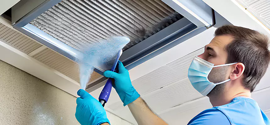 Proactive Dryer Vent & Auxiliary Duct Pollen Cleanup in Alpharetta, GA