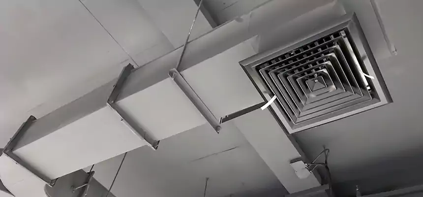 Restorative Allergy Relief Vent Cleaning – Coil, Blower & Housing Detail in Alpharetta