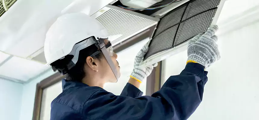 Our Mold & Mildew Removal from Air Ducts Services in Alpharetta, GA