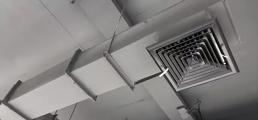 Our Rodent Droppings In Vents Services in Alpharetta, GA