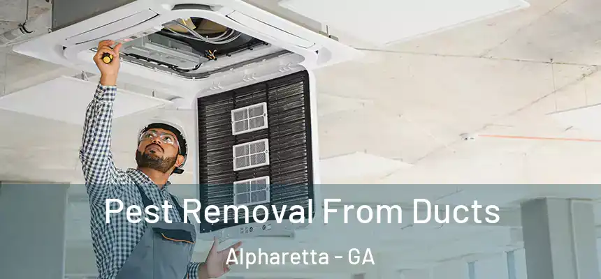  Pest Removal From Ducts Alpharetta - GA