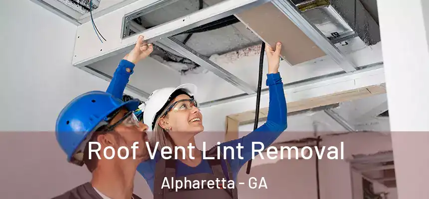  Roof Vent Lint Removal Alpharetta - GA
