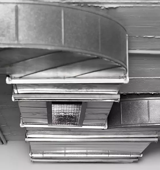 Professional Air Duct Pest Removal in Alpharetta, GA