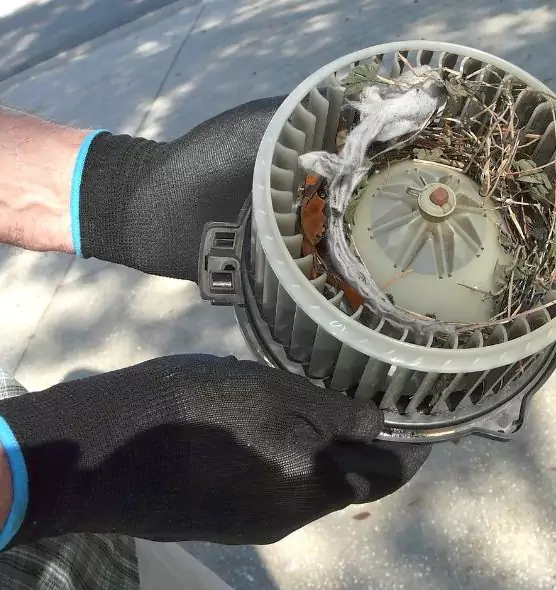 About Air Duct Rat Removal in Alpharetta, GA