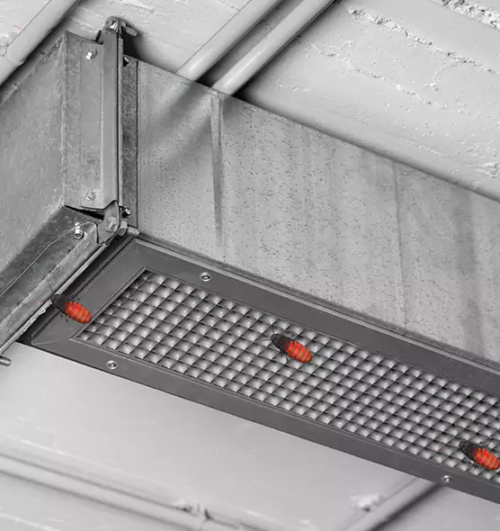 Affordable Insect Removal from Air Ducts in Alpharetta, GA