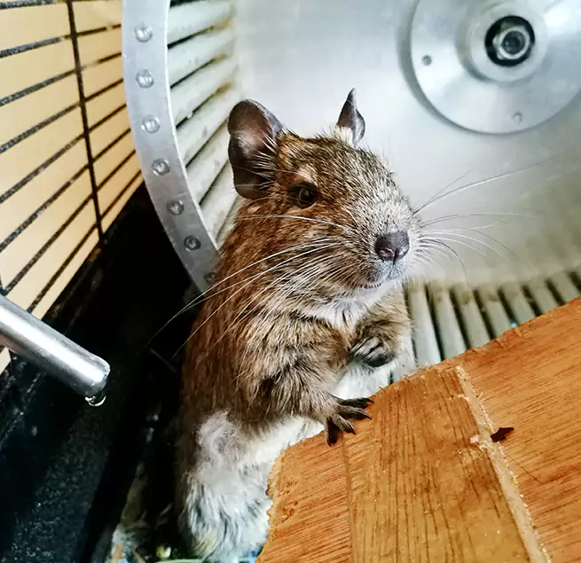 Why Homeowners & Businesses Trust Us Alpharetta, GA